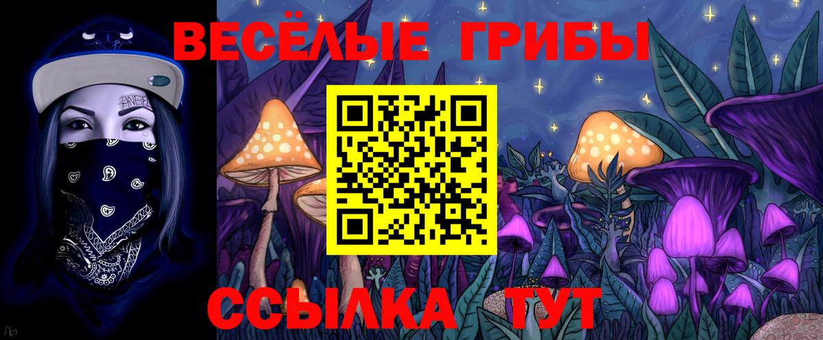 Галлюциногенные грибы Cubensis  Вход с VPN  Бердск 